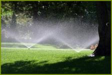 sprinklers