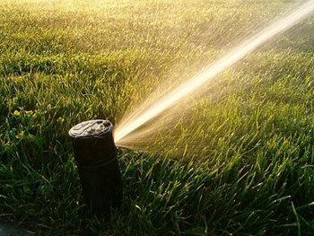 pop-up sprinkler head